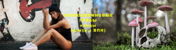 spice Алексеевка