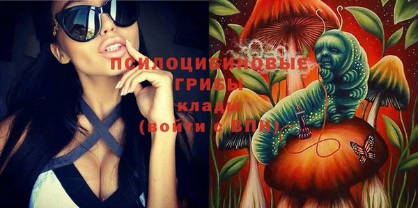 наркотики Алексин