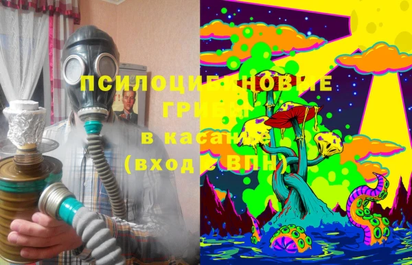 spice Алексеевка