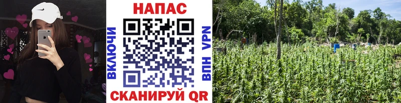 Шишки марихуана OG Kush  дарк нет клад  Топки 